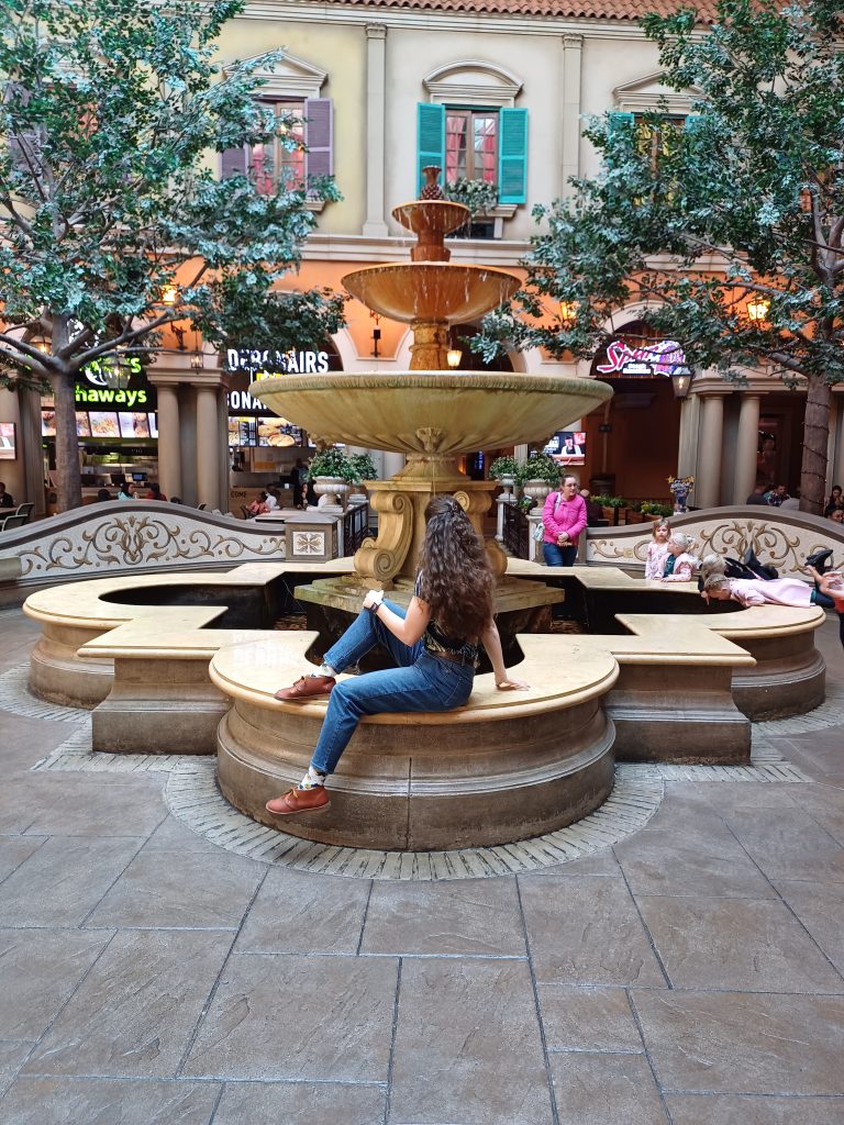 Montecasino Fountain