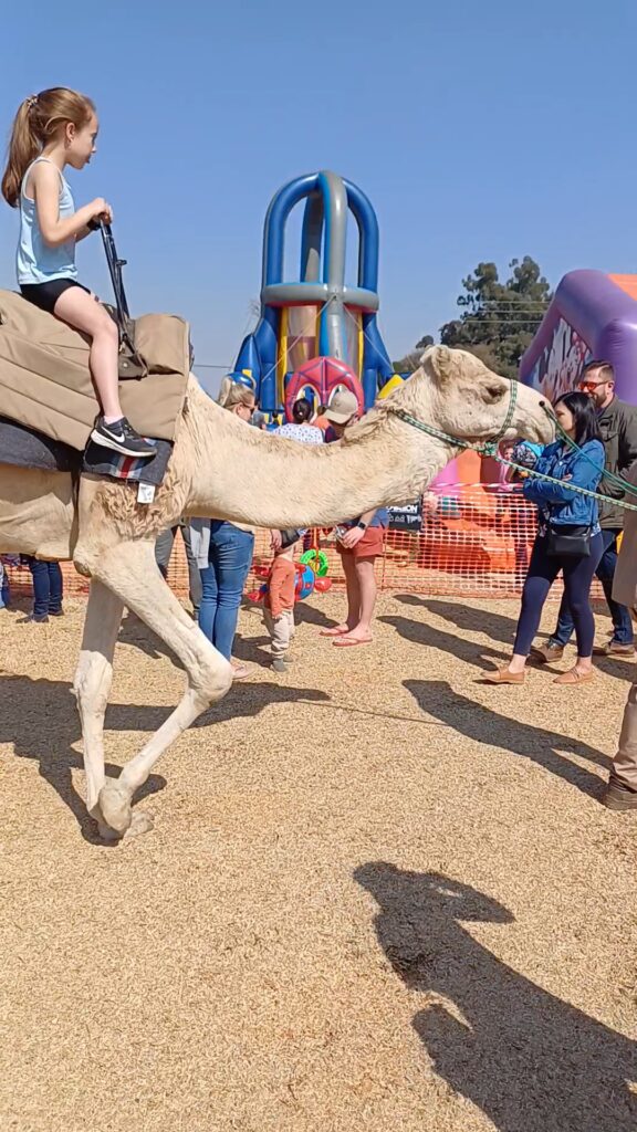 Young girl joyfully riding on a camel at a bustling market