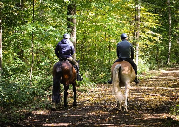 two individuals enjoying horse back riding