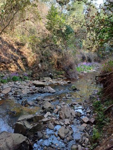 Wolwespruit hiking route spruit