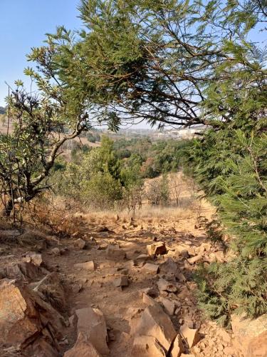 Wolwespruit hiking route view