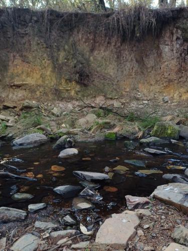 Wolwespruit hiking route spruit