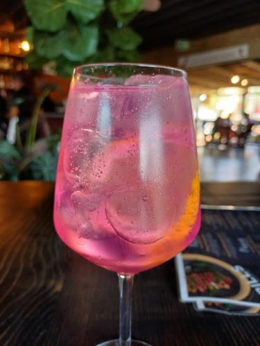 Gin and Pink Tonic