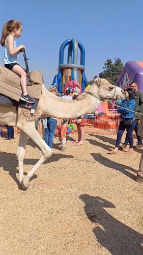 Young girl joyfully riding on a camel at a bustling market