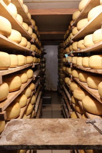 20231216093210 IMG 0926