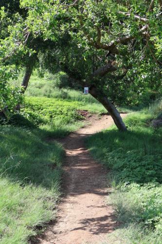 Cradle Moon lakeside Lodge Hiking Route Images of dam