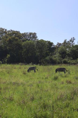 Cradle Moon lakeside Lodge Hiking Route Images of dam