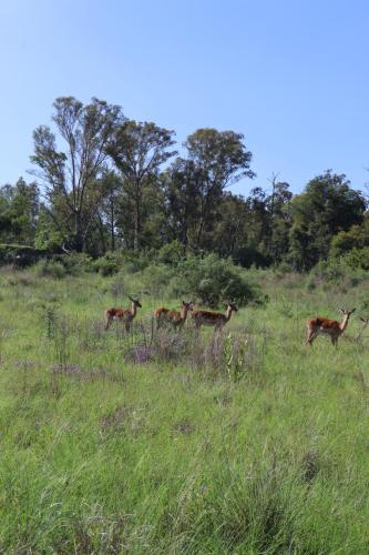 Cradle Moon lakeside Lodge Hiking Route Images of dam