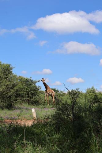 Cradle Moon lakeside Lodge Hiking Route Images of dam