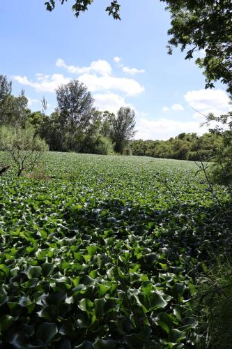 Cradle Moon lakeside Lodge Hiking Route Images of dam
