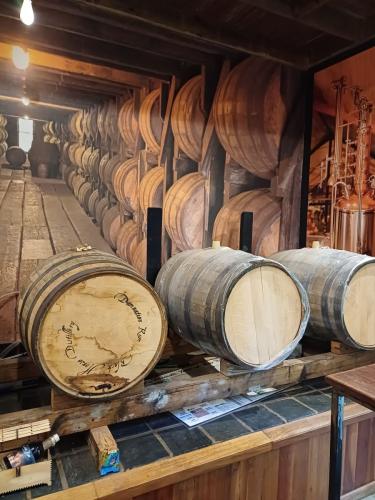 Gin-Tasting-Blackhorse-Distillery-Barrels-Inside-Venue 