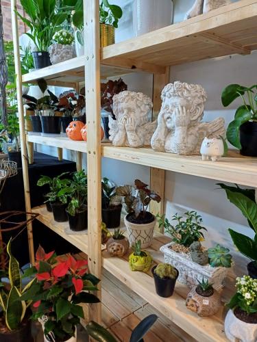 Prison Break Market Plants