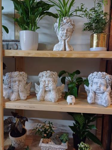 Prison Break Market Plants