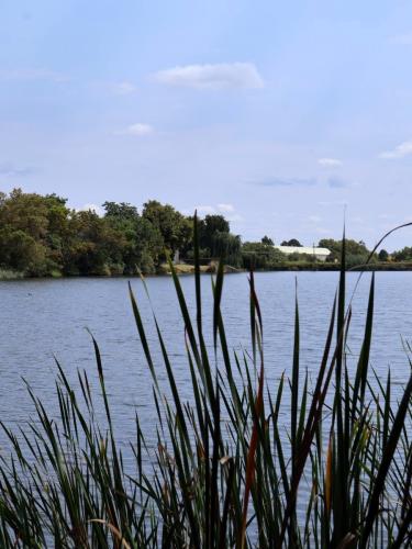 kingskloof-dam-on-walking-trail-water