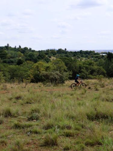 kingskloof-mountain-biking-trail-kid-cycling