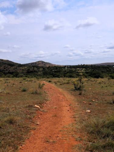 kingskloof-trail-mountain-background