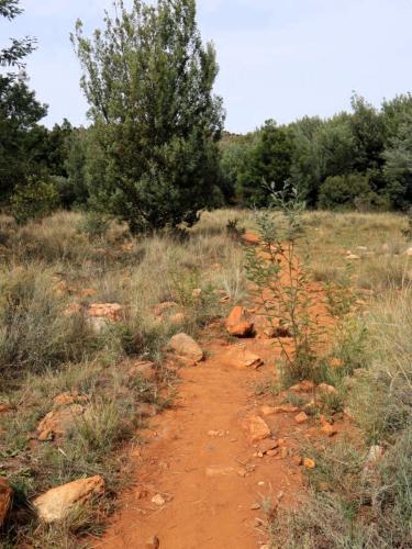kingskloof-walking-trail-red-ground